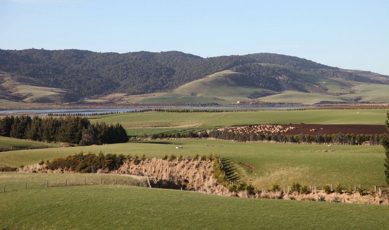 Slope Point Accommodation, The Catlins, Southland, New Zealand For ...